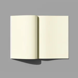 40% discount Notebook (random cover)