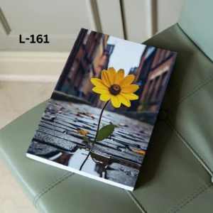 Notebook L-161