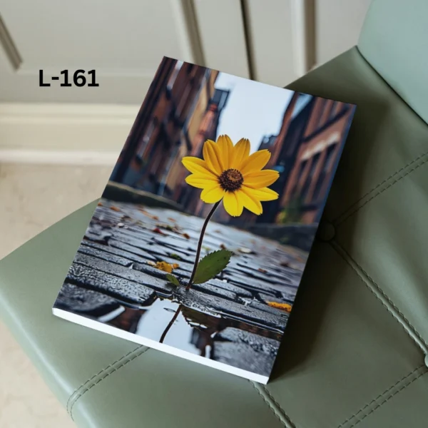 Notebook L-161